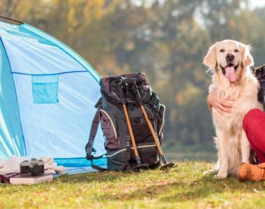 Campinganlagen für Hunde