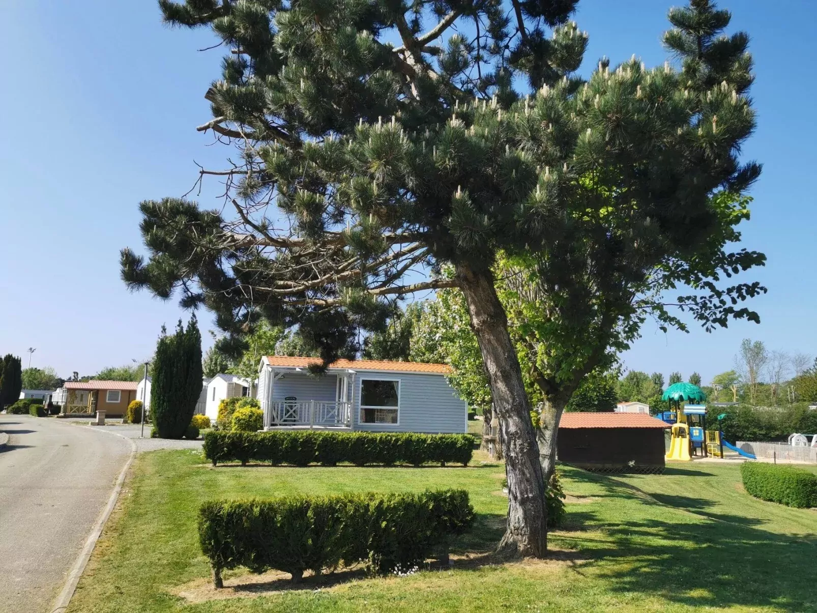 Flower Camping Dieppe Vitamin-