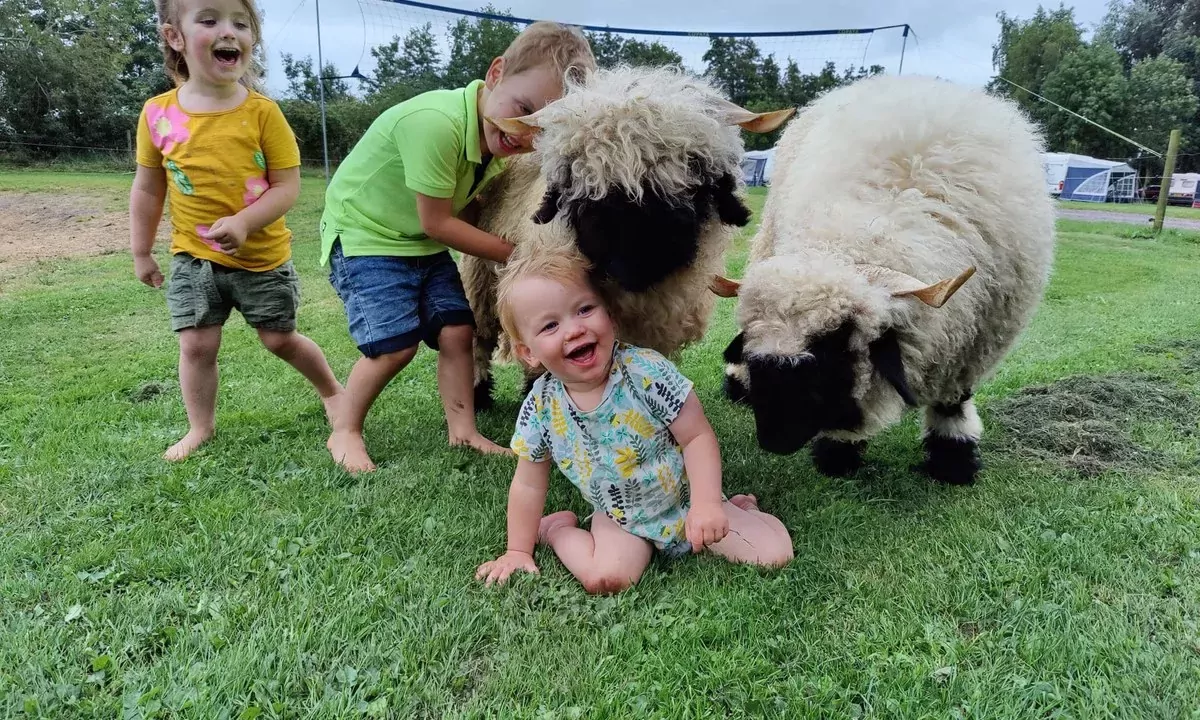 Ferienpark De Toffe Peer