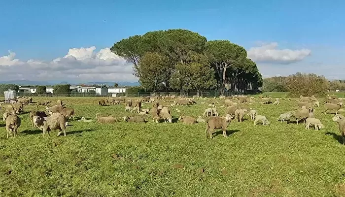 Campingplatz Le Vaudois