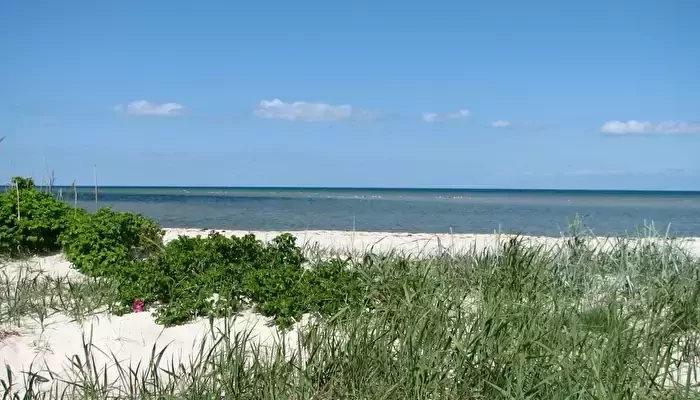 Dalgård Campingplatz