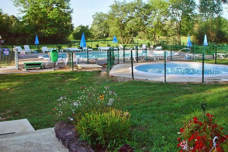 Flower Camping Die 3 Bären