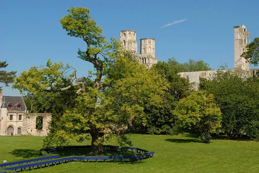 Campingplatz de la Forêt