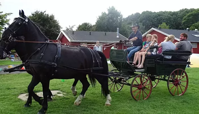 Horsens City Campingplatz-