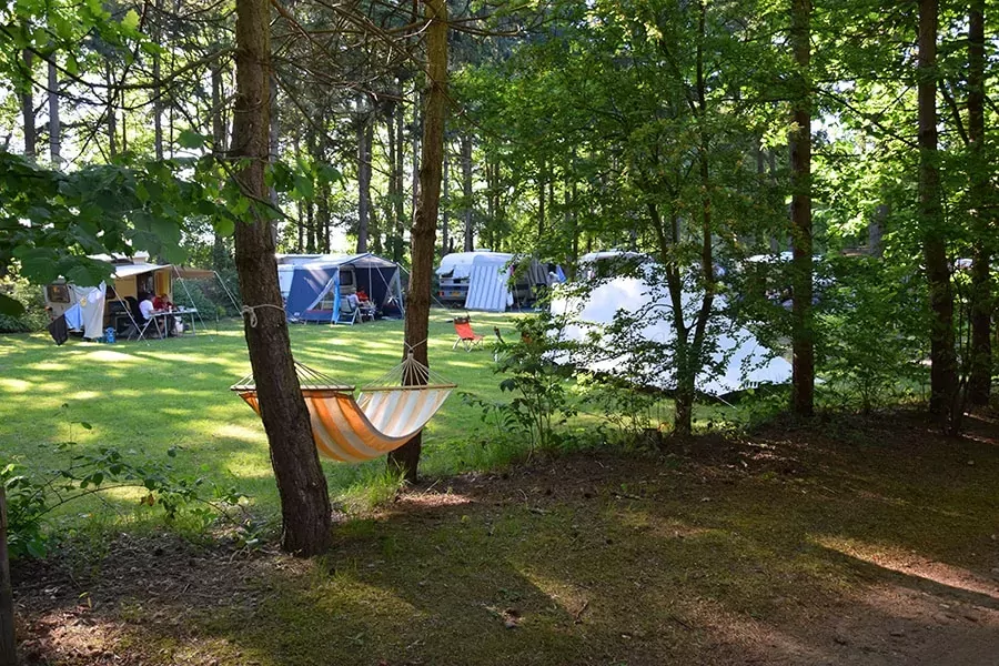 Campingplatz Der Horstmannswald