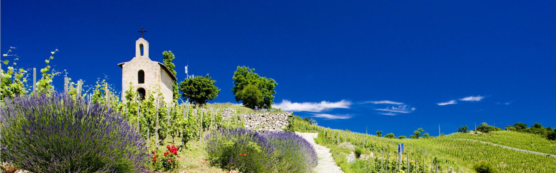 Auvergne-Rhône-Alpes