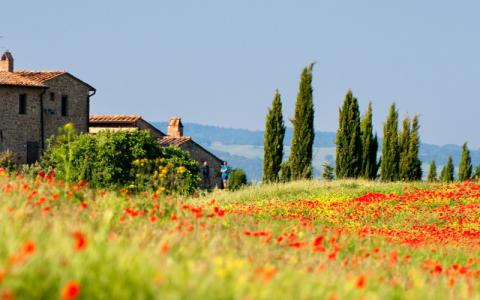 Italië