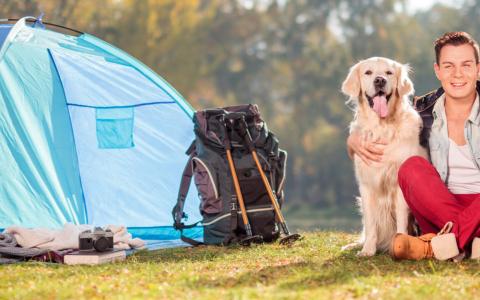 Campinganlagen für Hunde