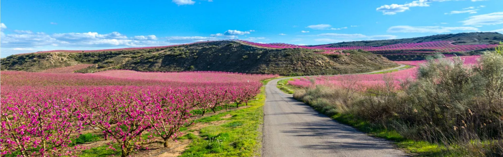 Campingplätze in Platja d'Aro finden