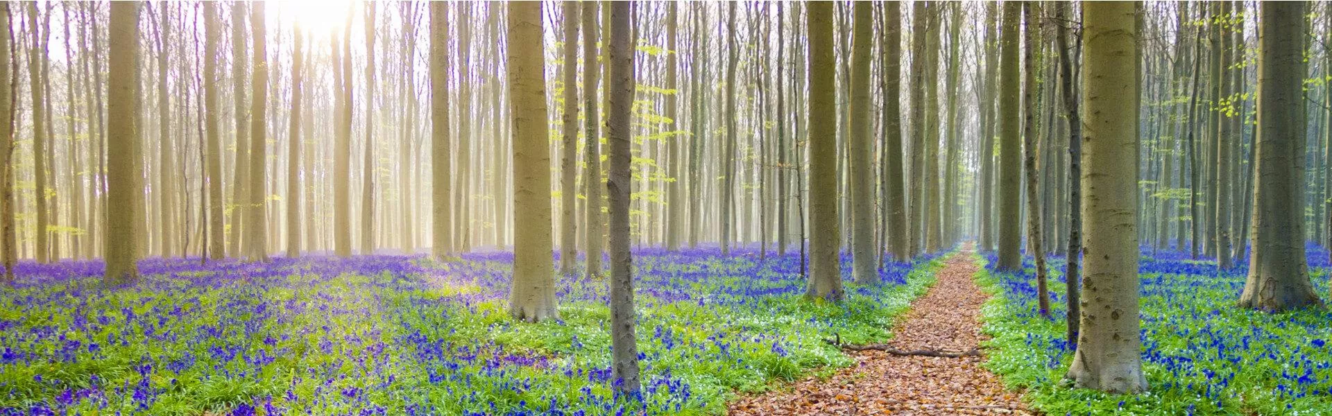 Campingplätze bei Leuven