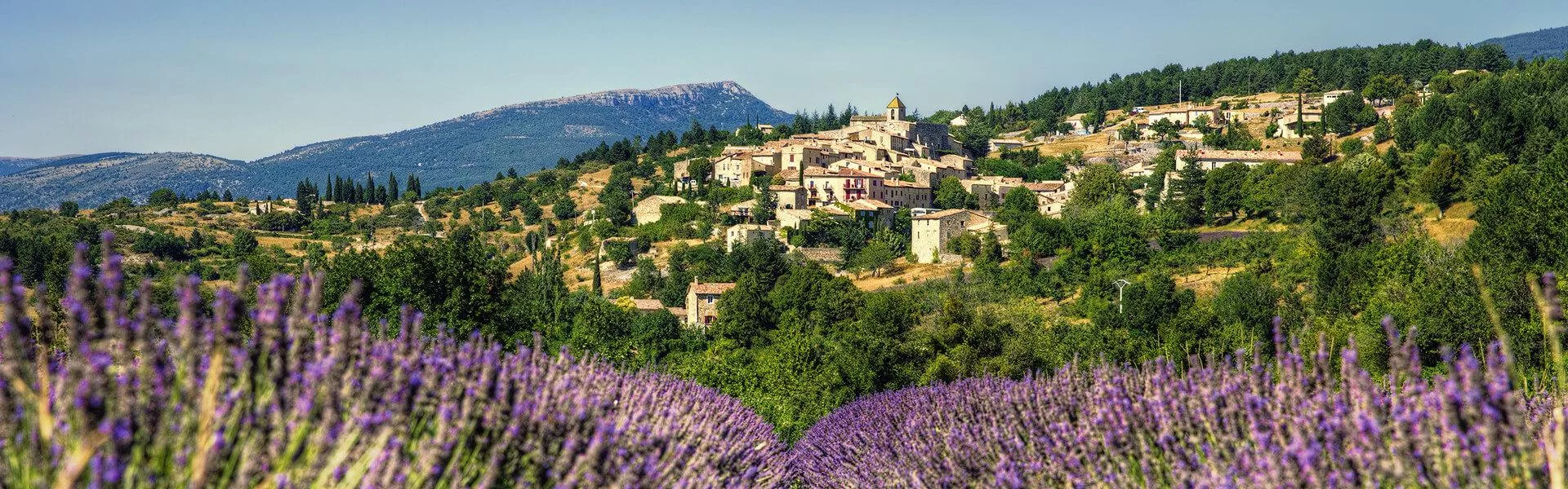 Rechercher des campings à Carpentras