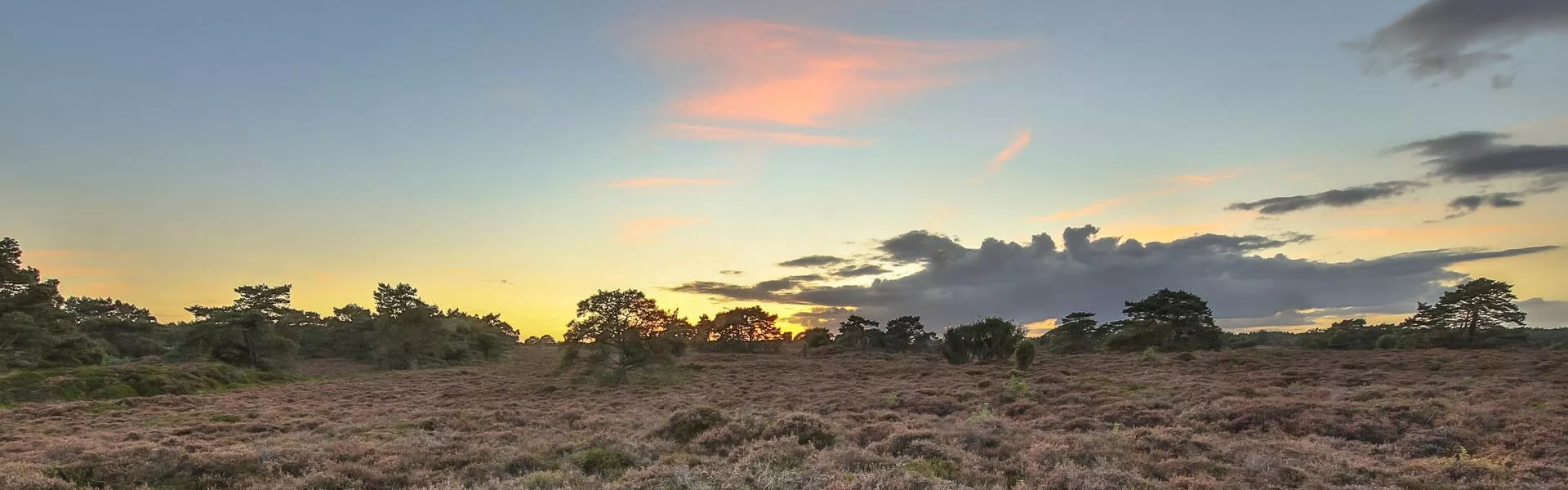 Campsites near Emmen