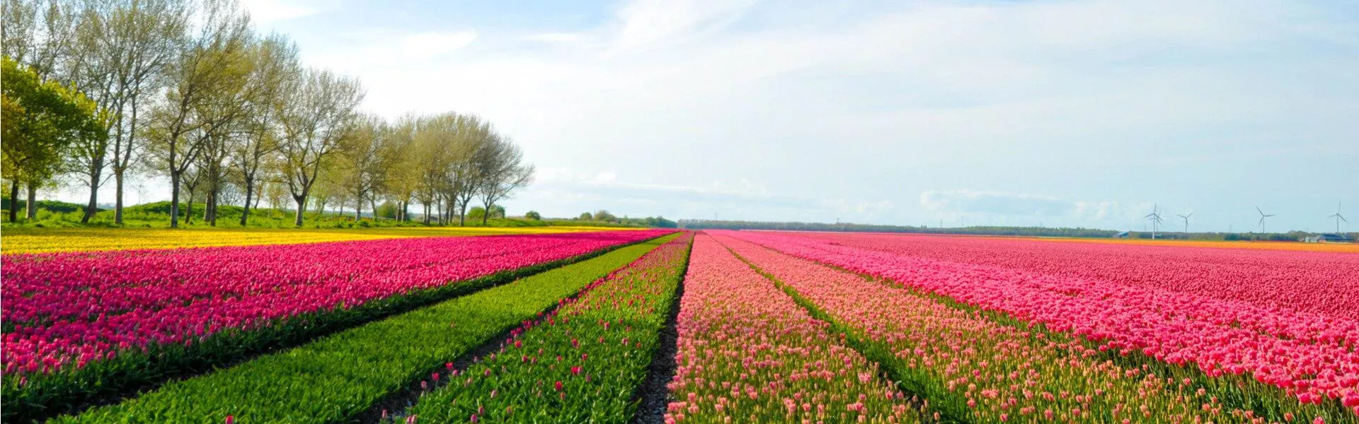 Campsites near Lelystad