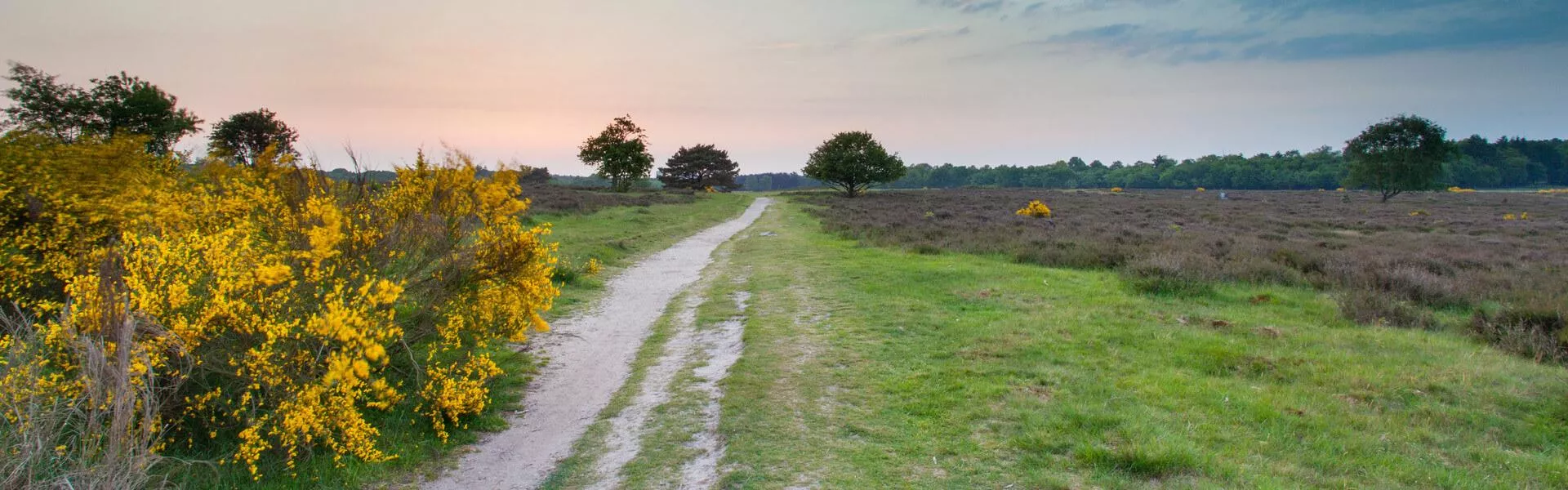 Campingplätze bei Hilversum