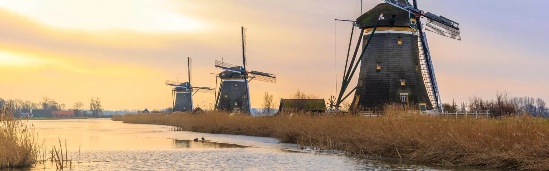 Campsites near Zoetermeer