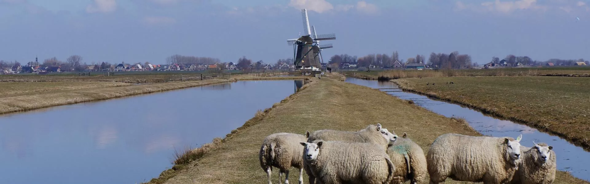 Campsites near Alphen aan den Rijn