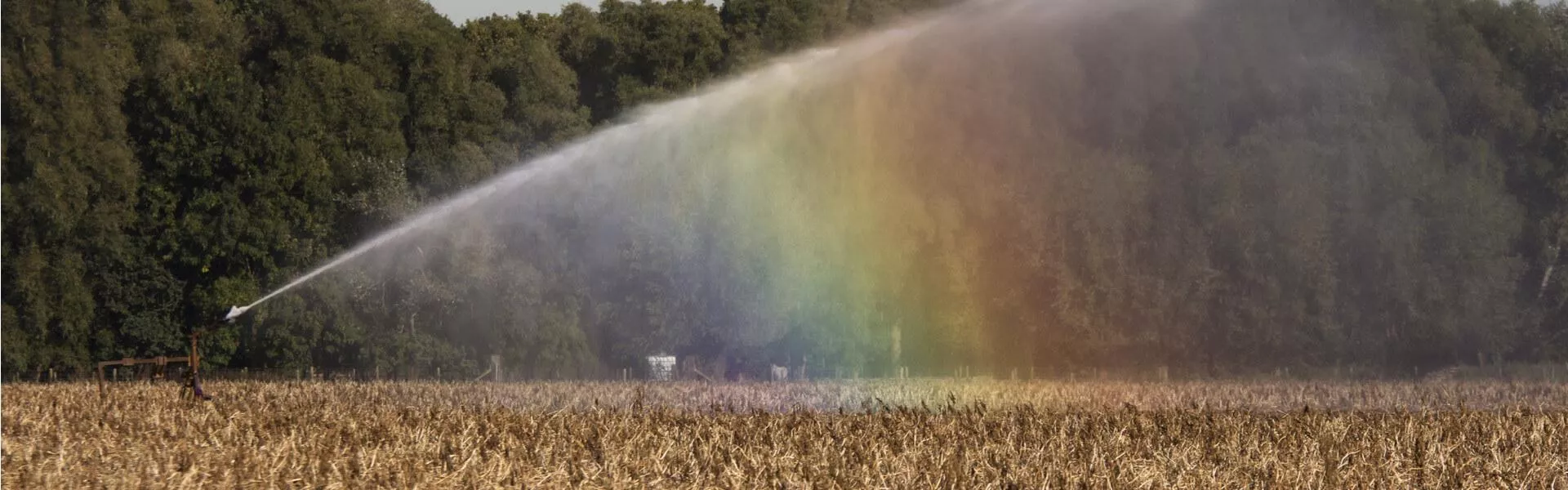 Campingplätze bei Terneuzen