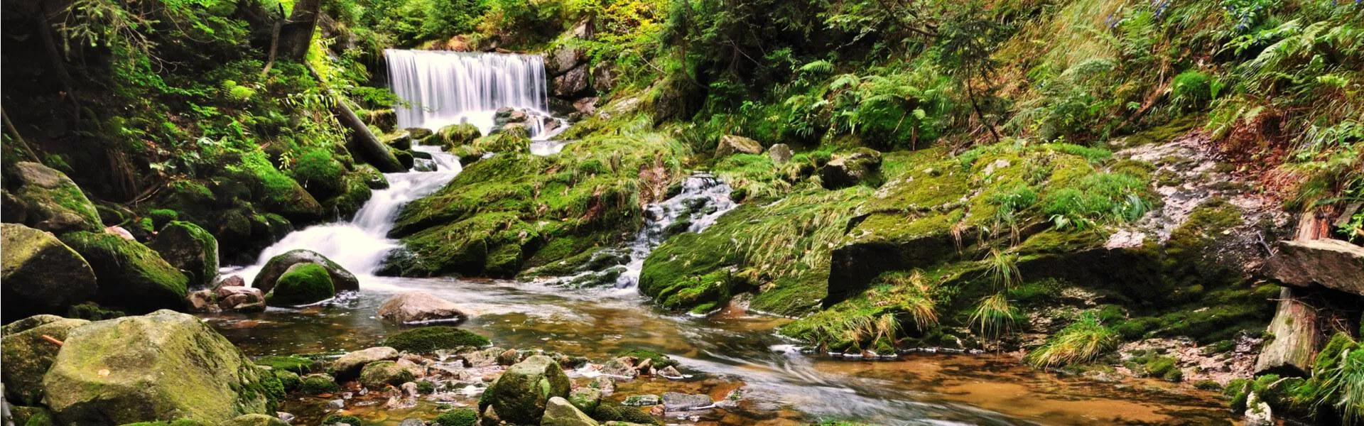Campingplätze im Riesengebirge finden