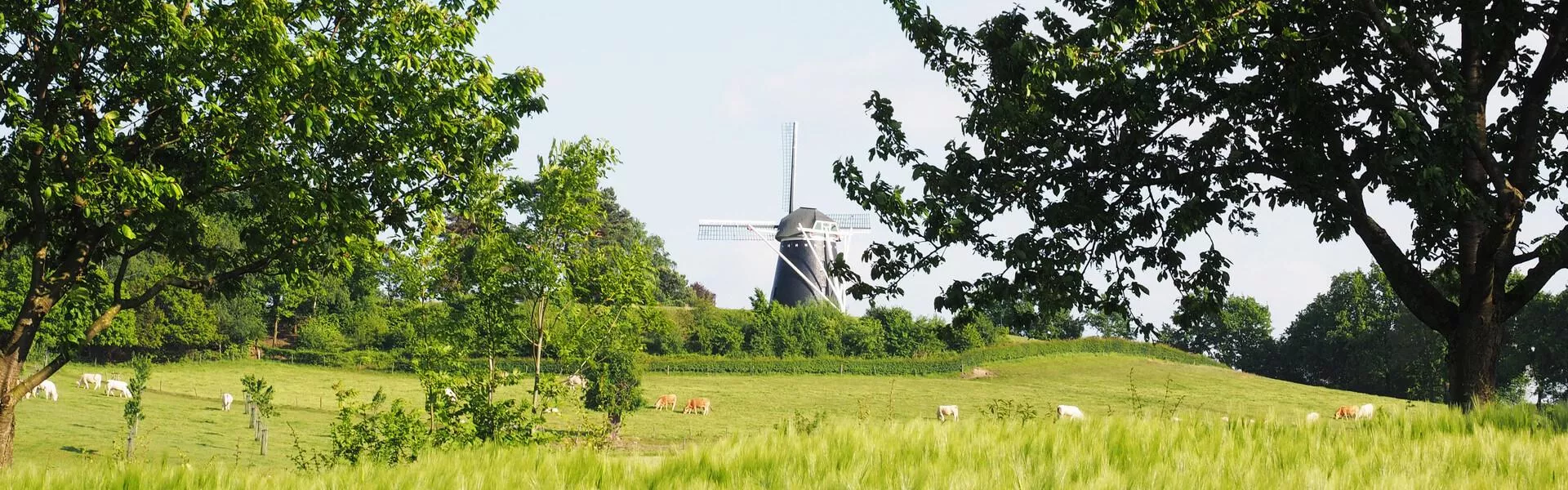 Campings près de Weert