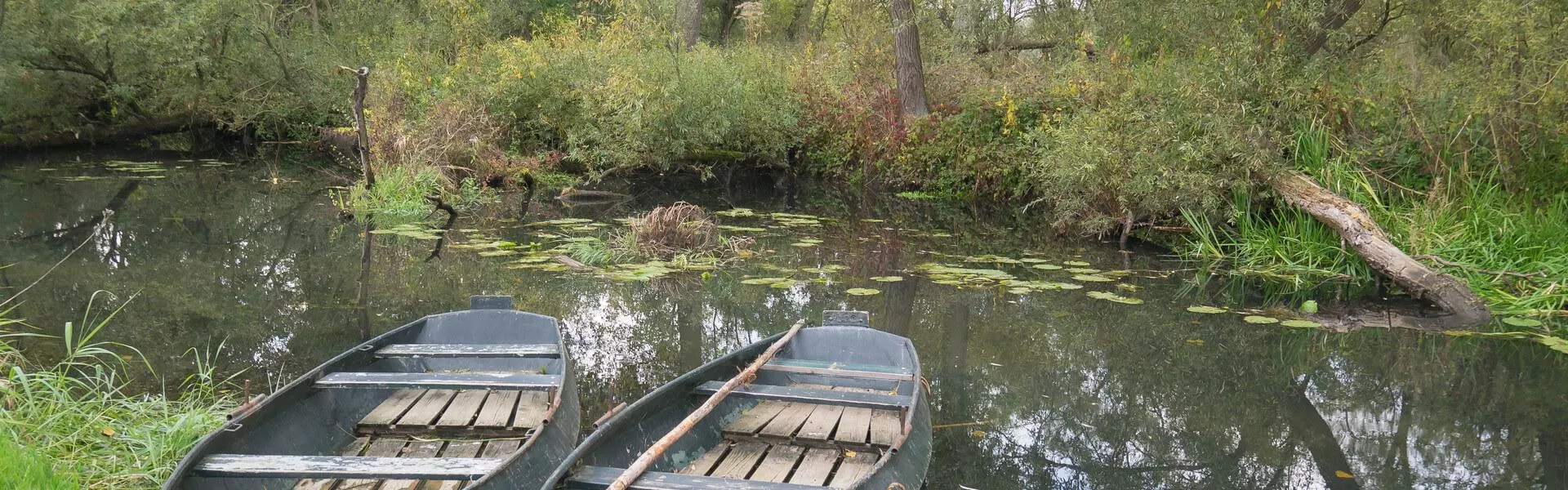 Campingplätze in Biesbosch suchen