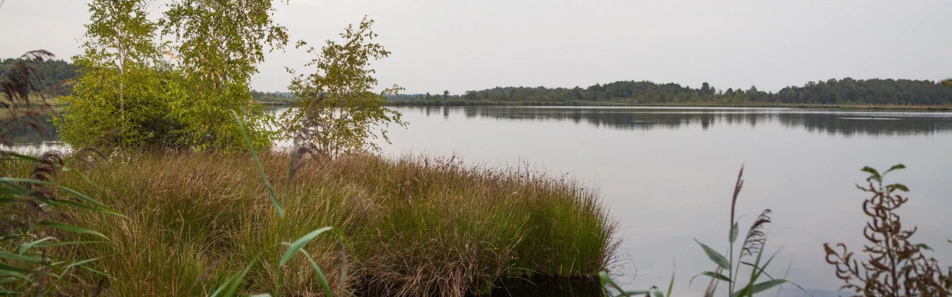 Search for campsites in de Peel