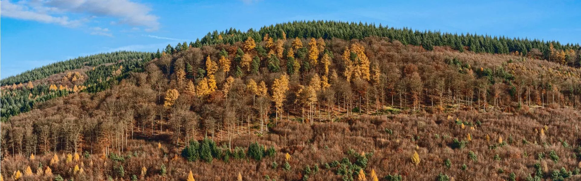 Rechercher des campings à Odenwald