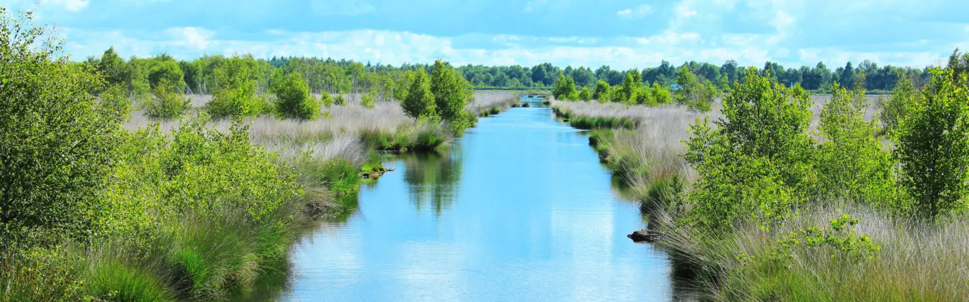 Search for campsites in Emsland