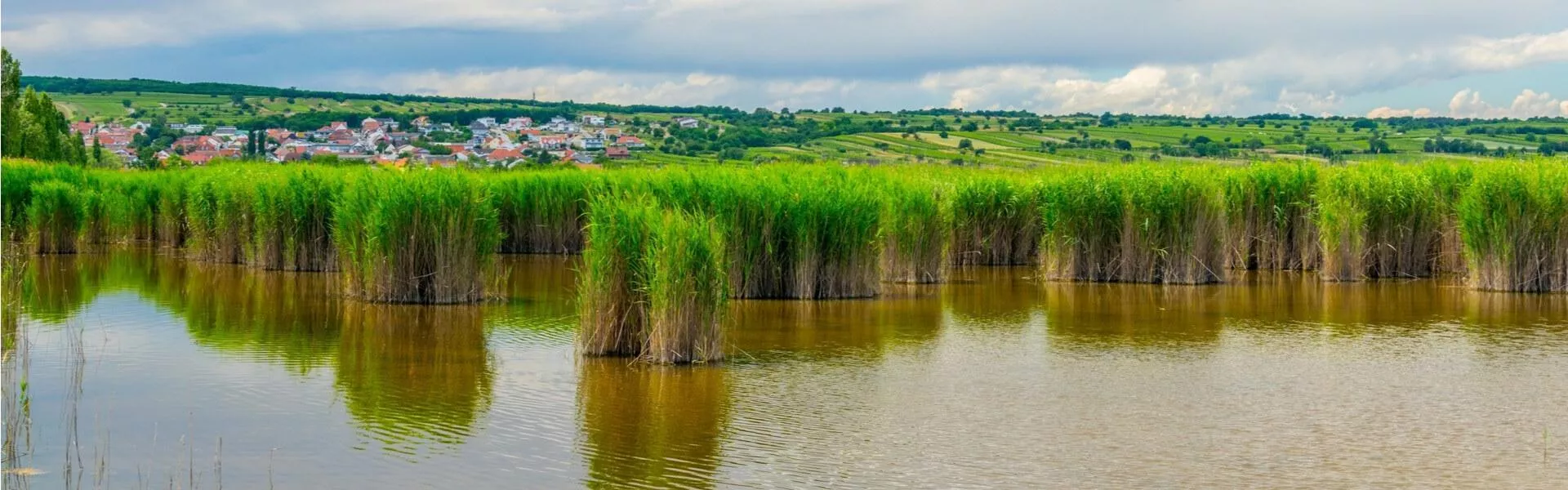 Search for campsites at Neusiedlersee