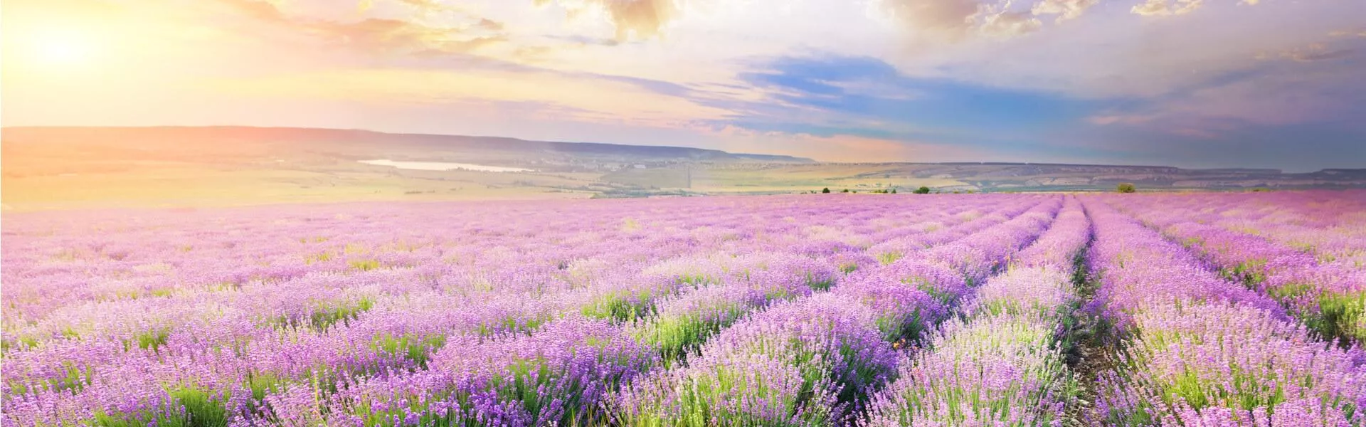 Campingplätze in Valence finden