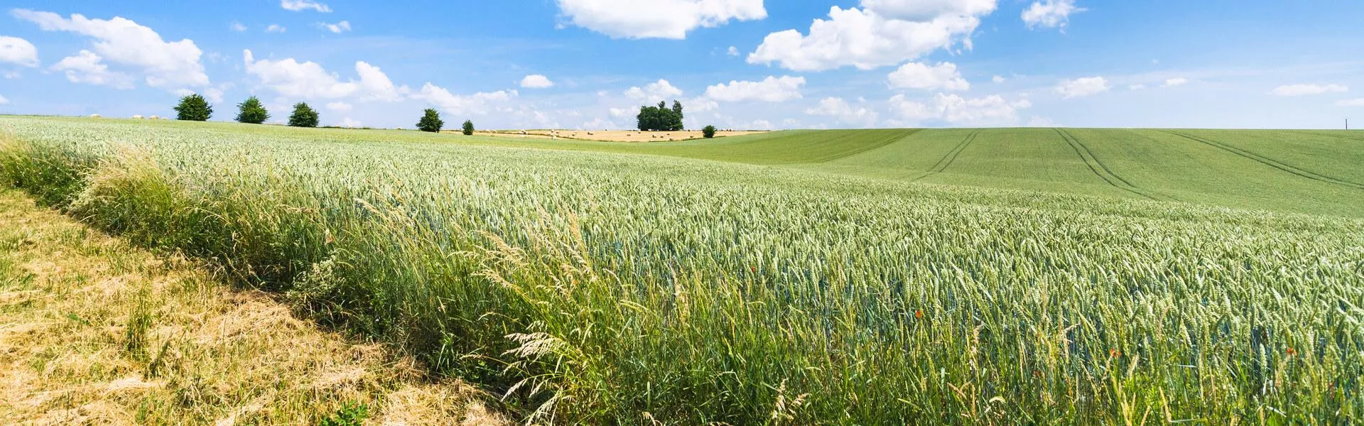 Campingplätze in Picardie suchen