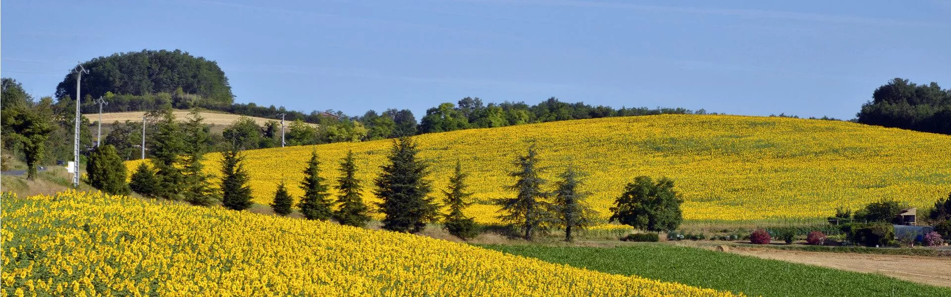 Search for campsites in Tarn