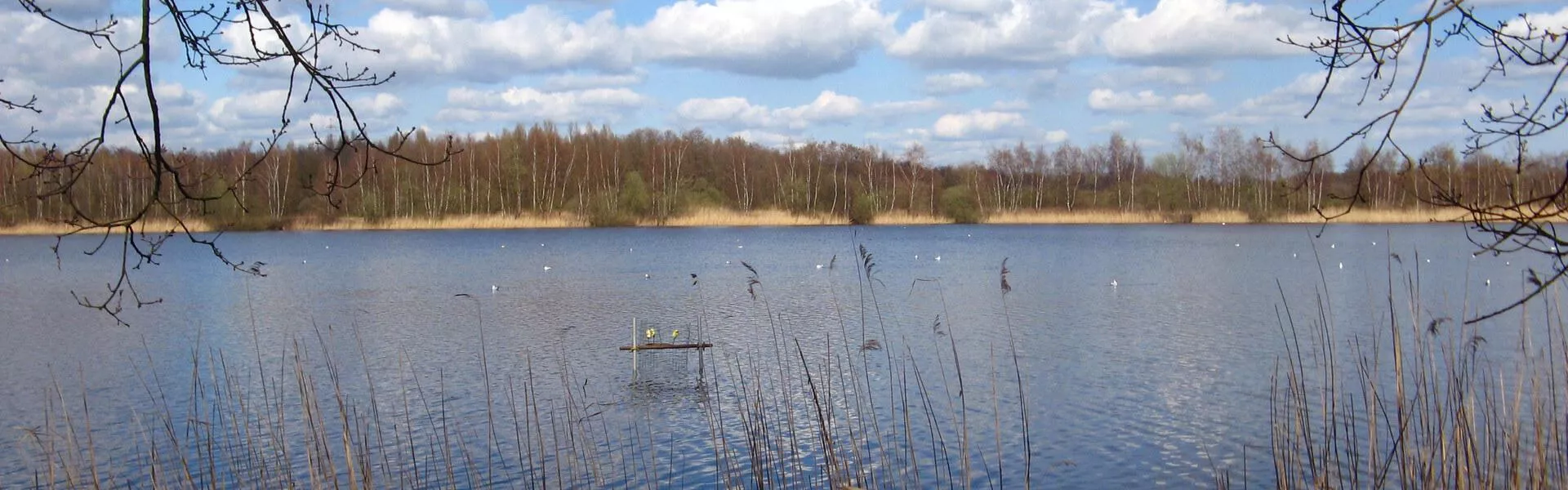 Campingplätze bei Maaseik