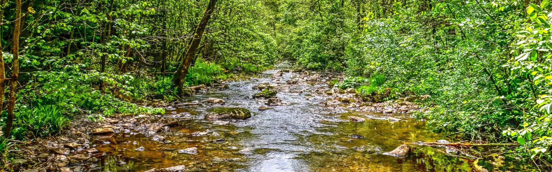 Campings près de Malmedy