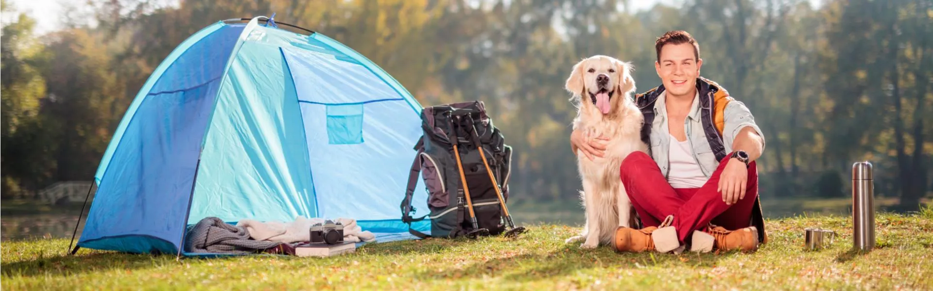 Dog campsites