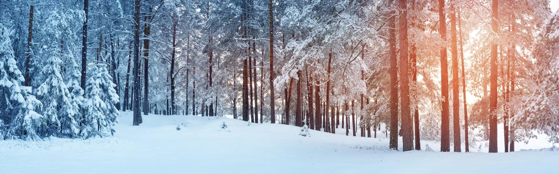Rechercher Campings de Noël