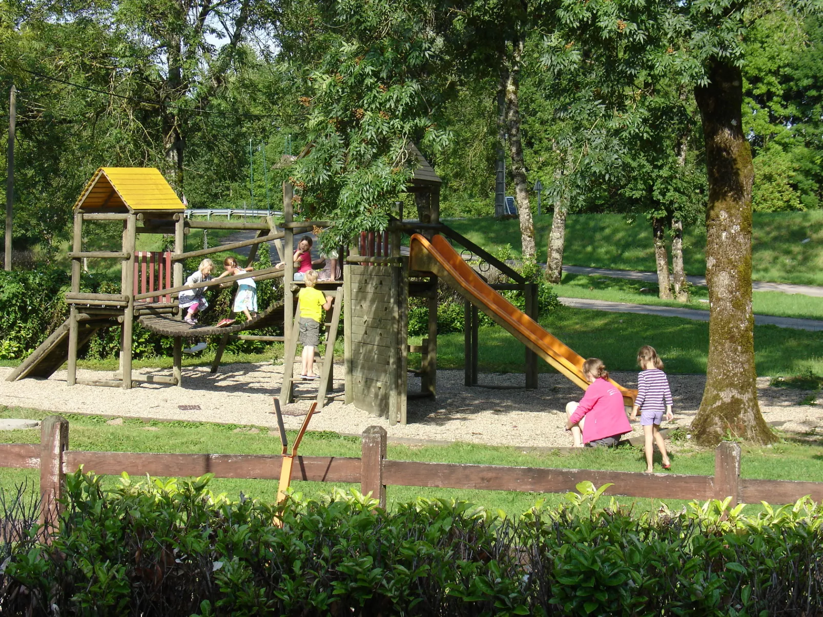 Flower Camping Die 3 Bären-