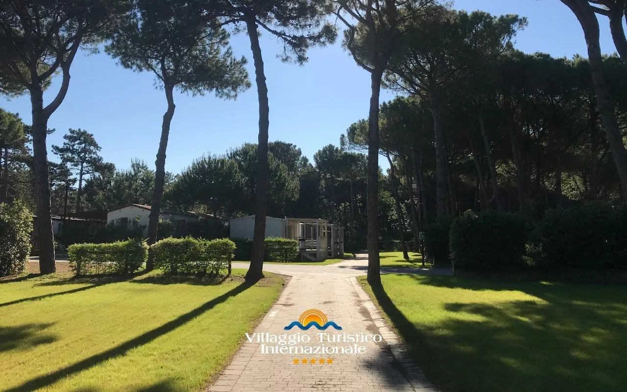 Internationales Feriendorf