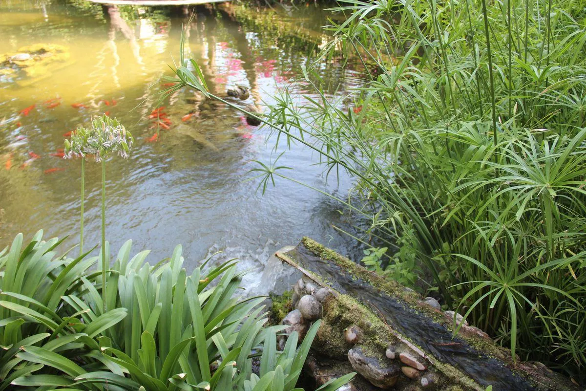 Baia Domizia Campingdorf-