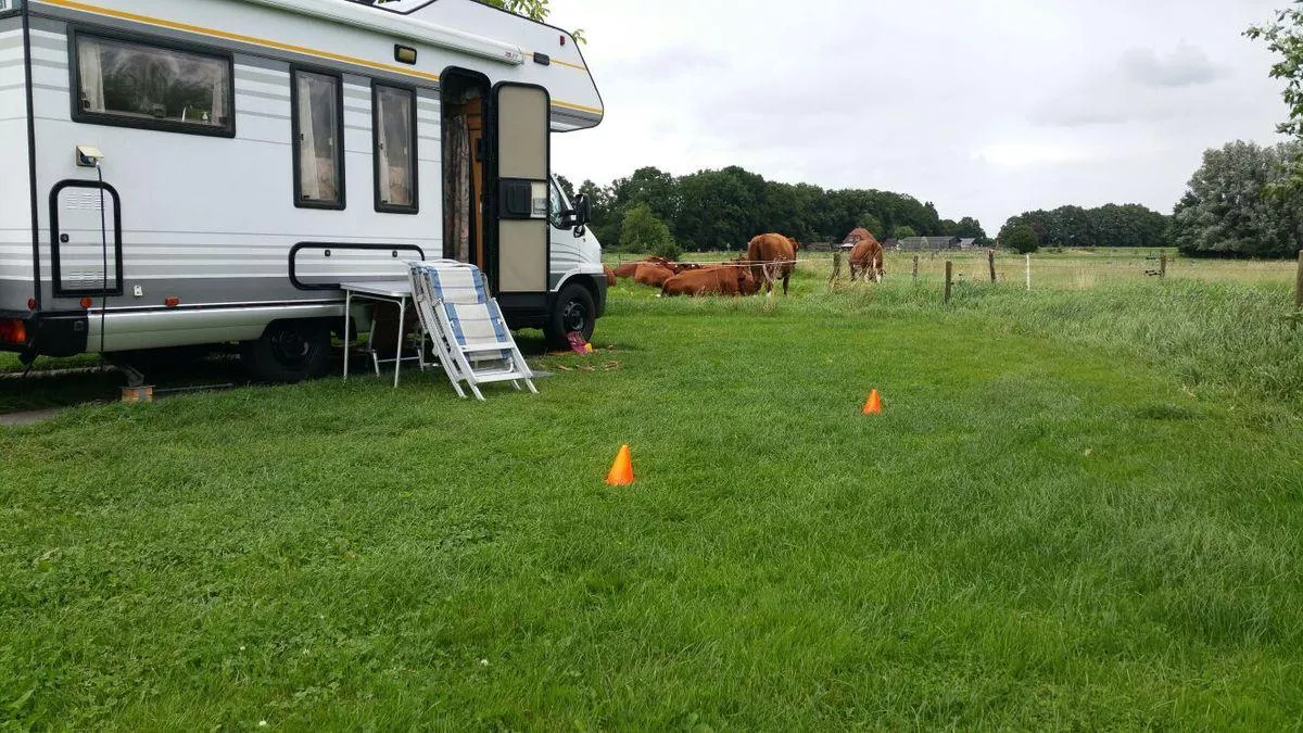 Campingplatz De Adelaar-