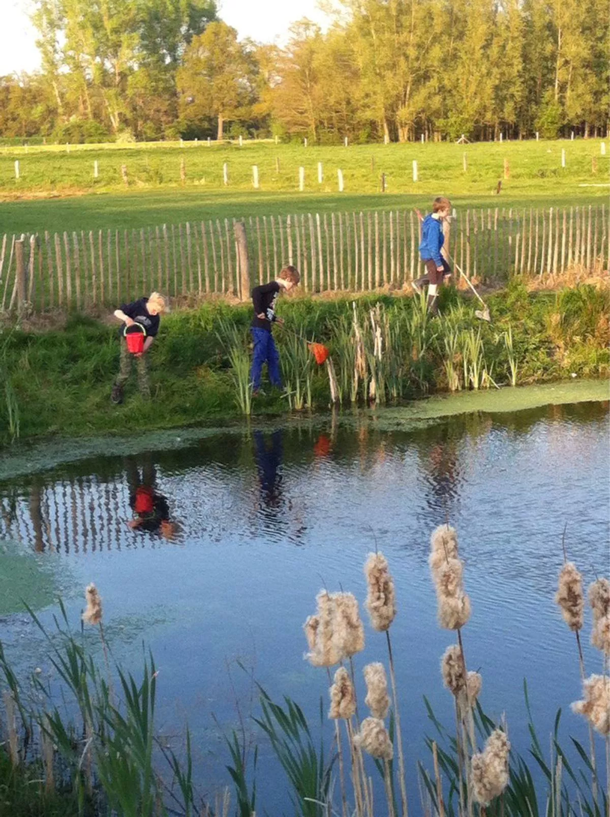 Campingplatz De Adelaar-