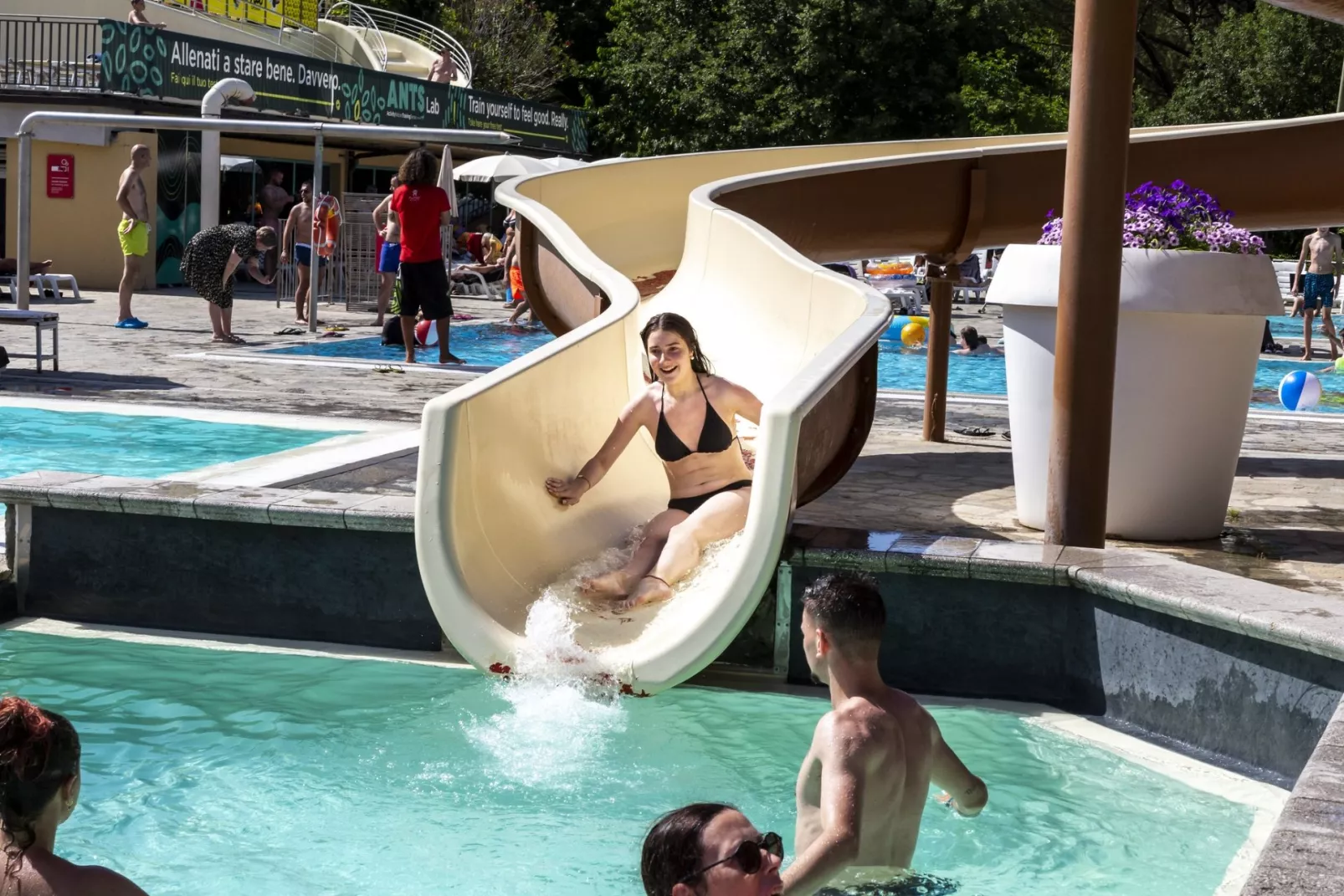 Hu Norcenni Girasole Dorf-