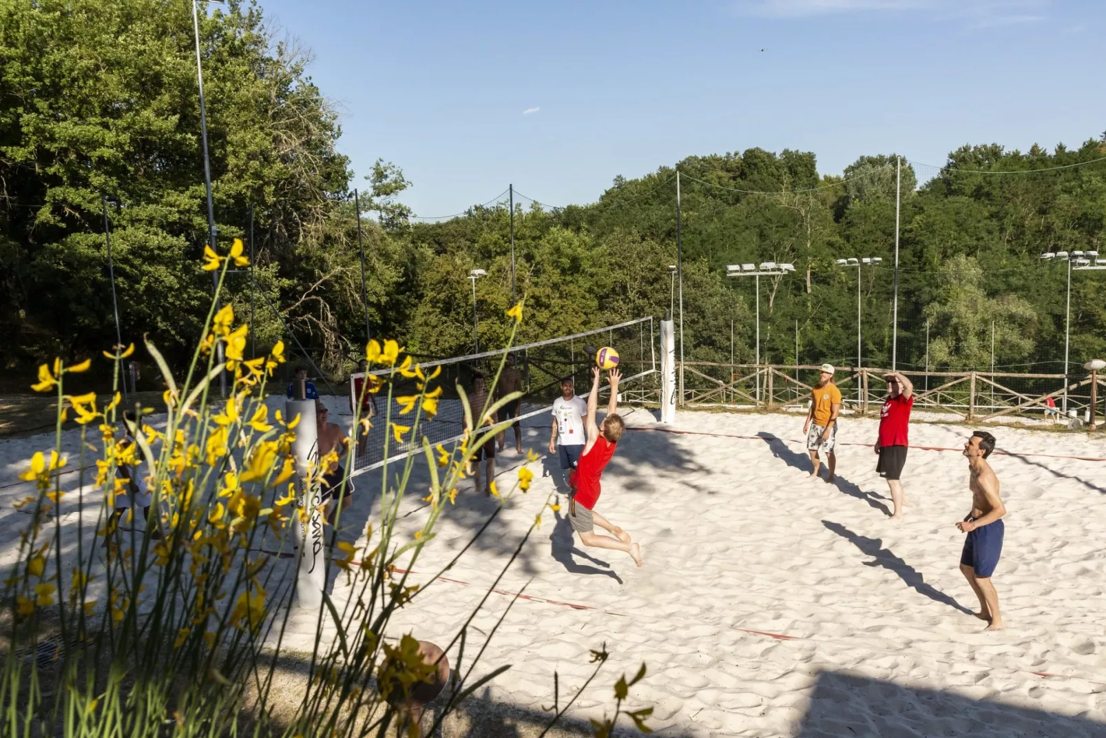 Hu Norcenni Girasole Dorf-