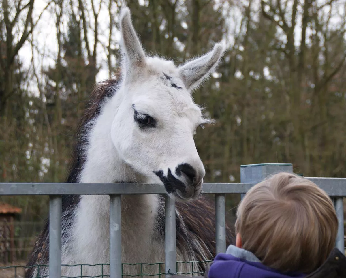 Campingplatz Sonnenland-