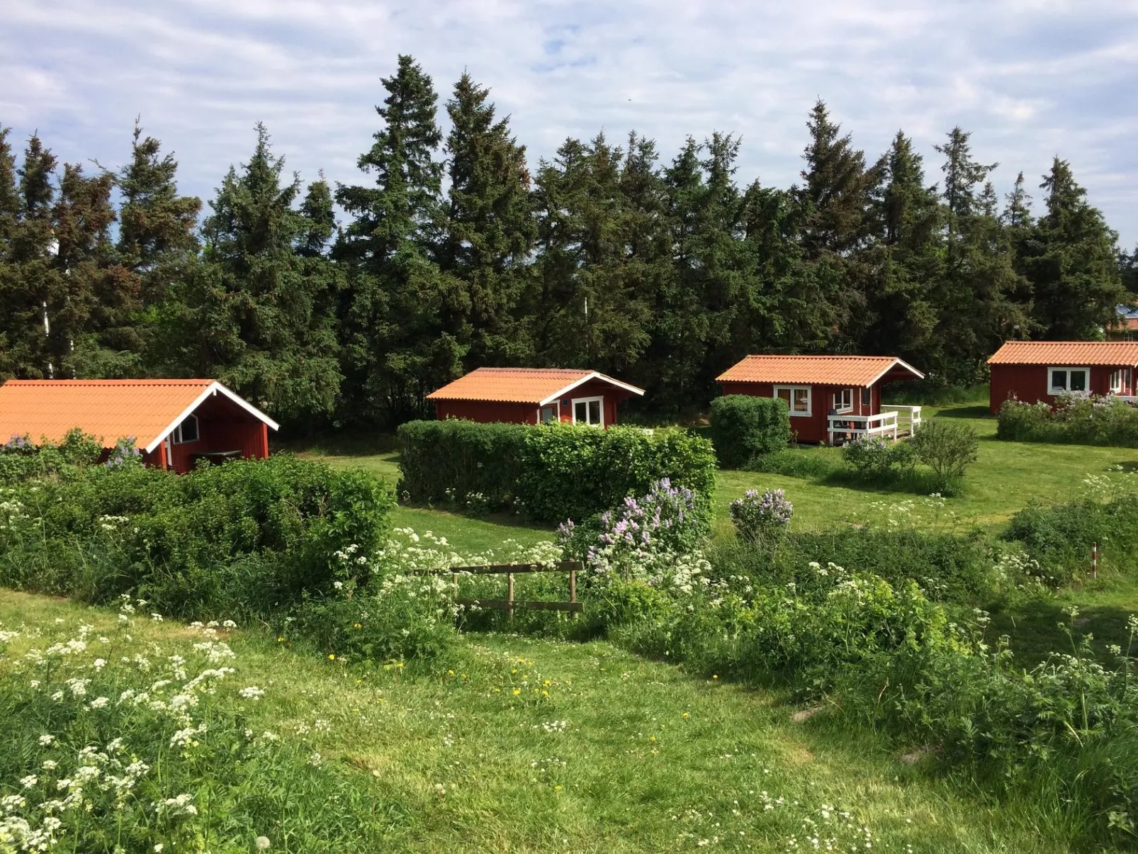 Ballum Campingplatz-