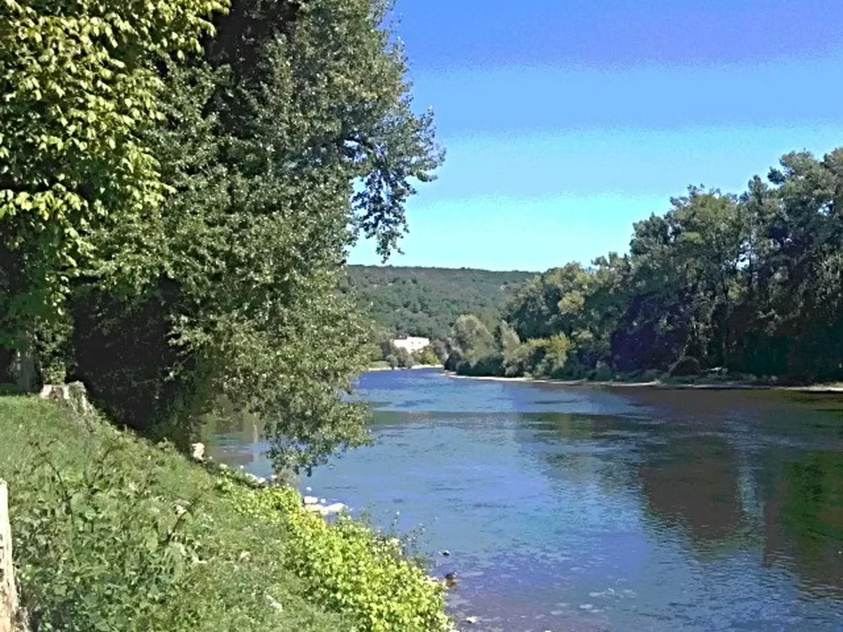 Flower Camping Les Ondines-