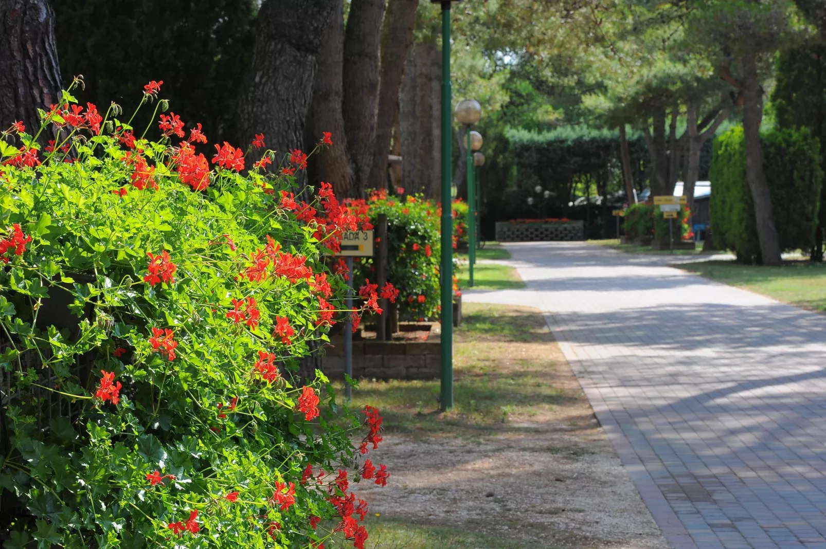 Campingplatz Al Boschetto-