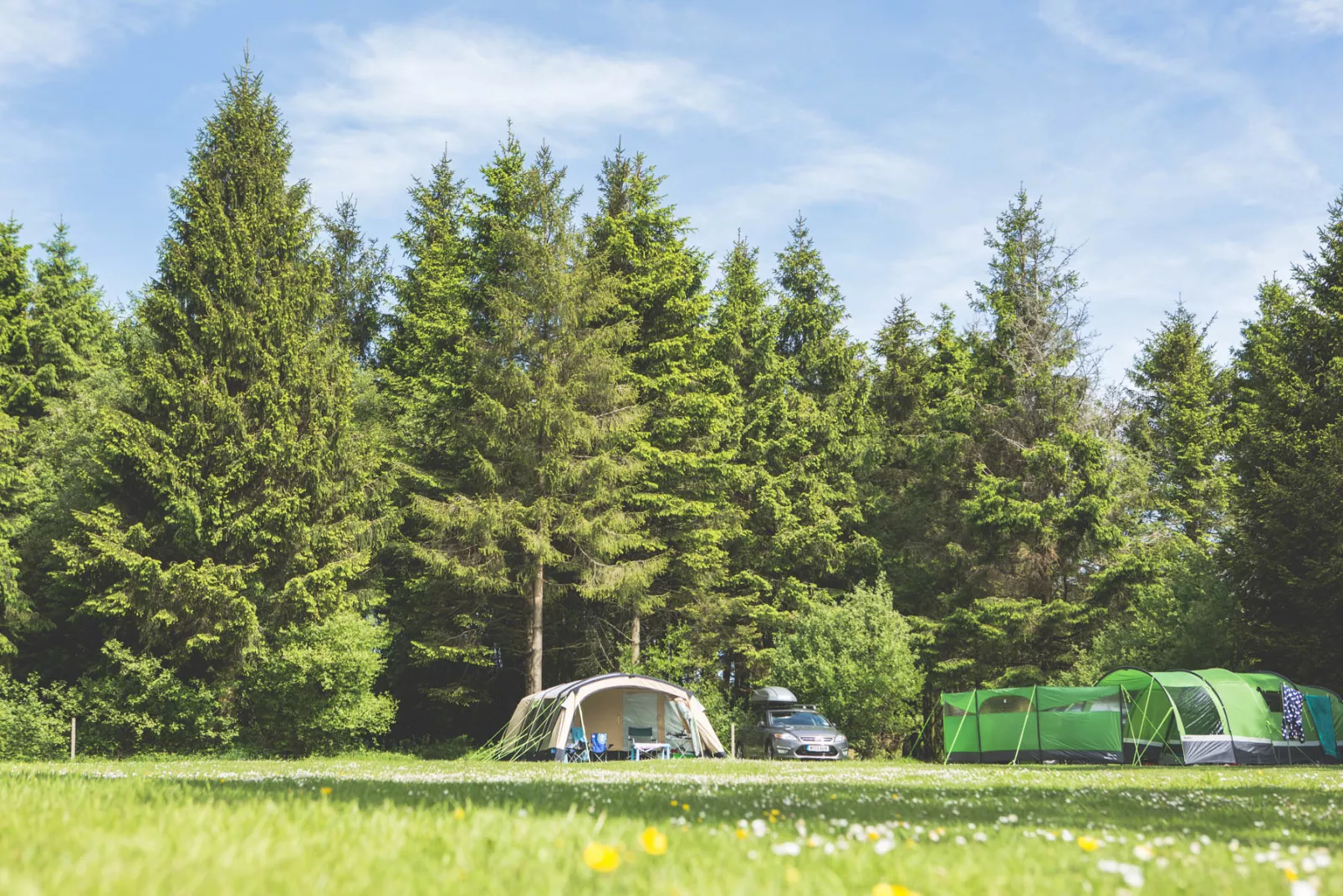 Forest Glade Ferienpark