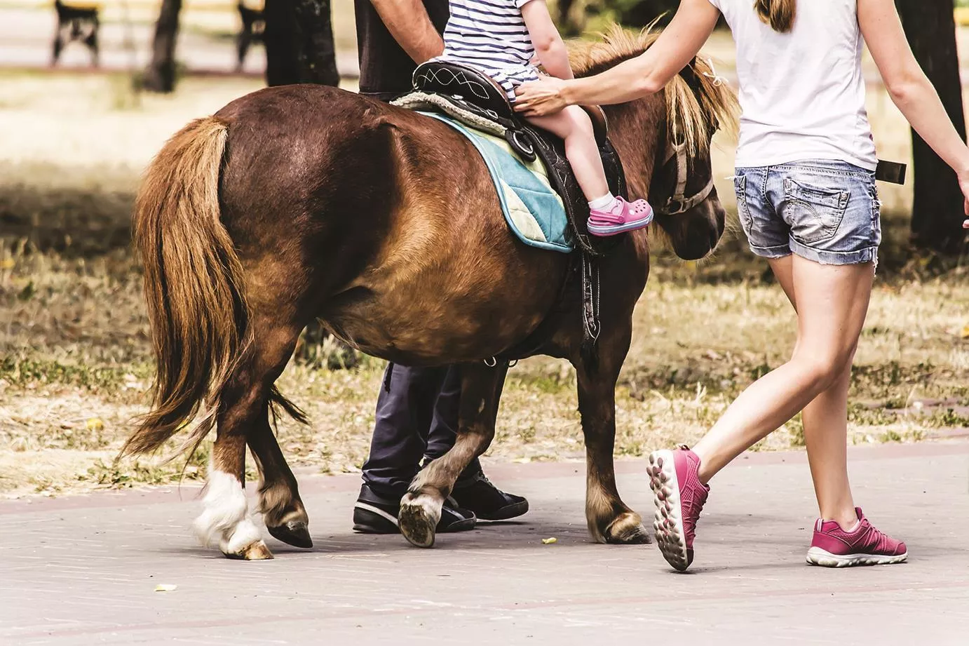 Campingplatz Au Bocage du Lac-