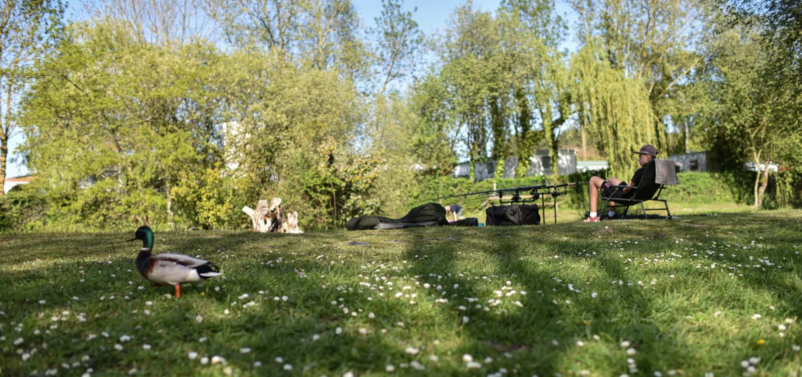 Camping Paradis Domaine de Bellevue-