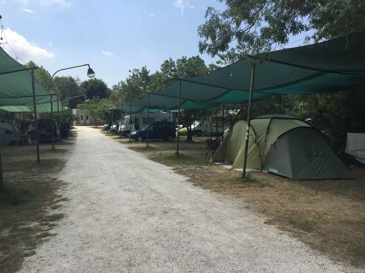 Campingplatz Torre Pendente-